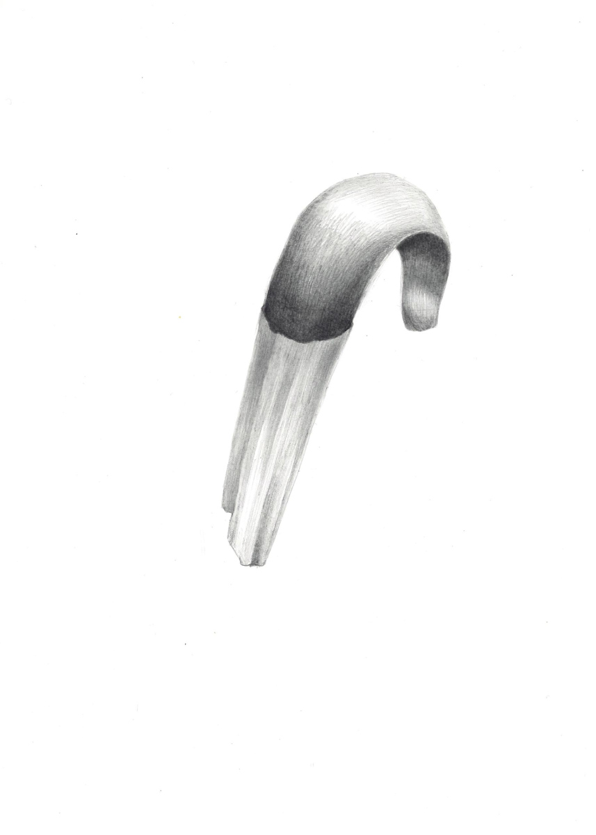 2025Pencil on paper, 20 x 24 cm